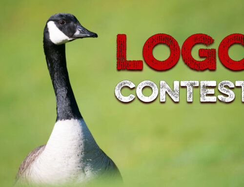 GOOSE – Logo Contest $500